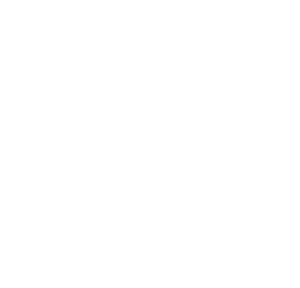 Castle Connolly Top Doctors